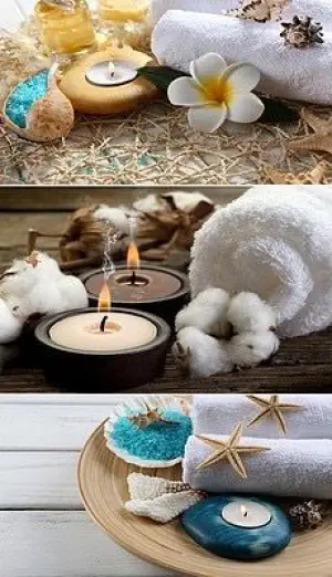 宛宁养生SPA的logo