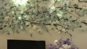 楚阁坊SPA养生的logo