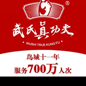 武氏真功夫（第15分店-正阳中路店）的logo
