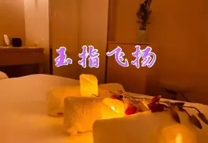玉指飞扬SPA养生馆的logo