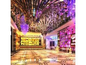 星光灿烂主题量贩式KTV（新濠广场店）的logo