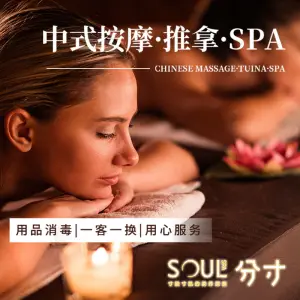 分寸Soul·法式轻奢Spa（壹方城店）的logo