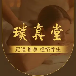 璞真堂·推拿足道·经络养生的logo