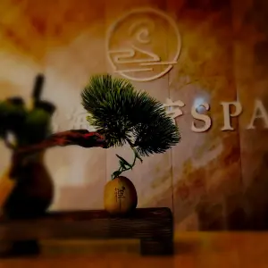 錦海水疗SPA的logo