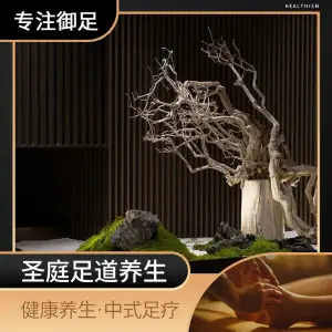 圣庭影院足疗SPA