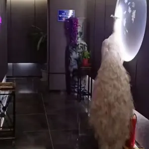 谦和足道养生SPA的logo