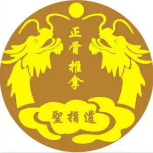 圣指道正骨推拿连锁（中电大厦店）的logo