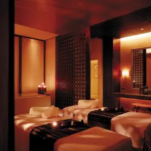 枫林南苑SPA的logo