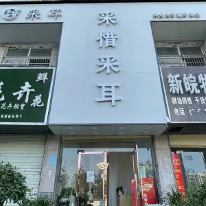 采惜采耳