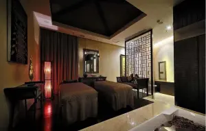 御丝阁Spa养生按摩的logo