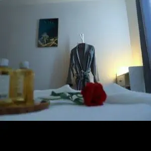 安茹SPA（南村万达广场店）的logo