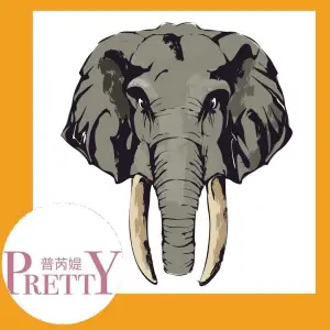 大象.推拿工作室