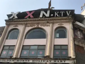 新西南KTV（金马广场店）的logo