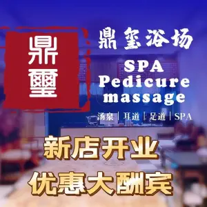 鼎玺娱乐休闲馆（软件大道店）的logo