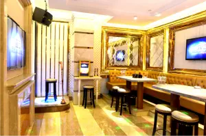 宾戈主题酒吧互动式KTV（苏宁生活广场店）