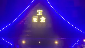 宝丽金保健养生馆的logo