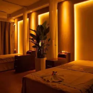 欣颜养生SPA的logo