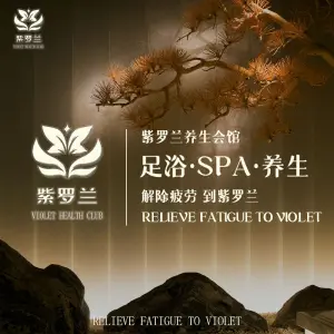 紫罗兰养生会馆（传奇广场店）的logo