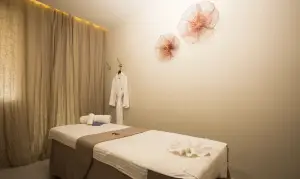 意中人SPA养生的logo