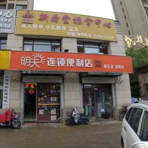 新荷堂推拿中心（凯旋公馆店）的logo