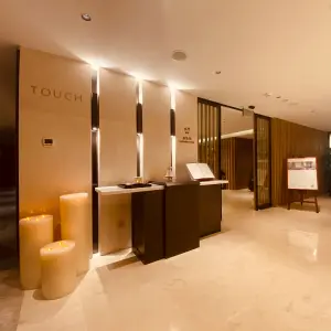 颐尊会TOUCH水疗SPA的logo