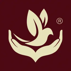 好手法盲人按摩连锁（杨园南路二店）的logo