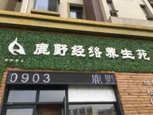 鹿野经络养生苑