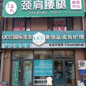 盛京王氏颈肩腰腿康复中心（浑南区碧桂园店）的logo