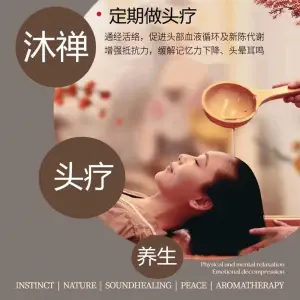 沐禅头疗养生的logo